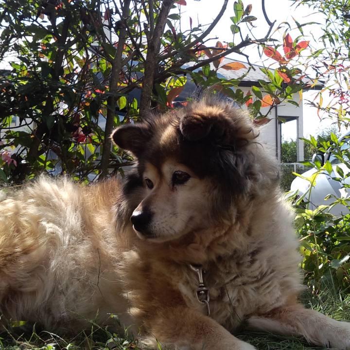 F2132276 ef14 4b63 9ee2 29505bb6d965 1617233271881