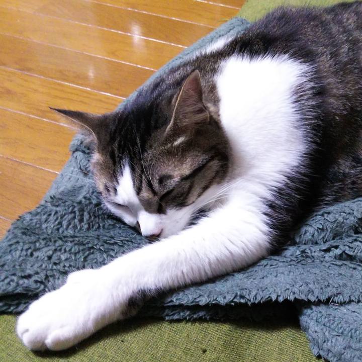 F213229c fb90 4767 89c4 dbcb122366a7 1649114420812