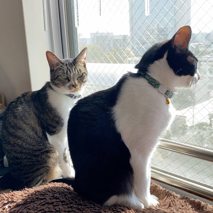 F21335cf 68d0 48b2 971f 658124a96512 1764477369019