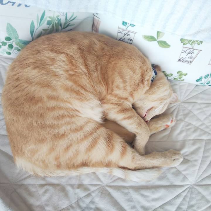 F2133c41 1c82 422c 8868 78590ce79eb0 1563151973943