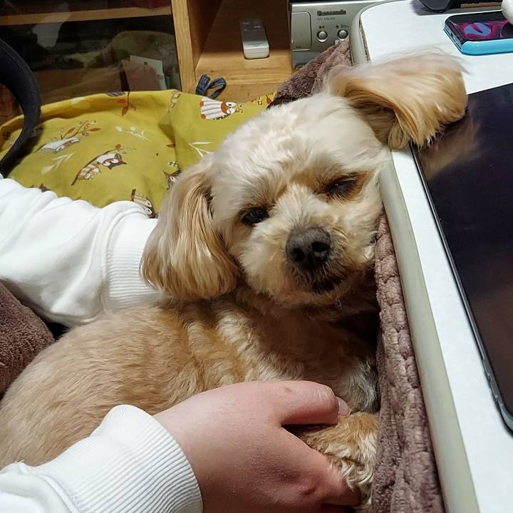 F21340ac aea5 4e26 876a e694c736b425 1646476295177