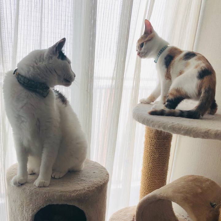 F2134958 6615 4f42 ac80 ae8ed44e9fe4 1564616324636