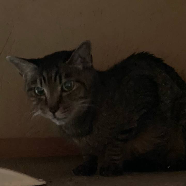 F2135970 a30c 49c4 94fa 7112f01ba2ed 1630632483901