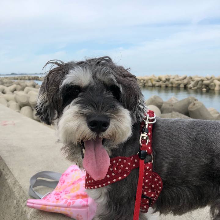 F2137e6c c0a7 4011 8829 4dad4c8d9664 1535844007478