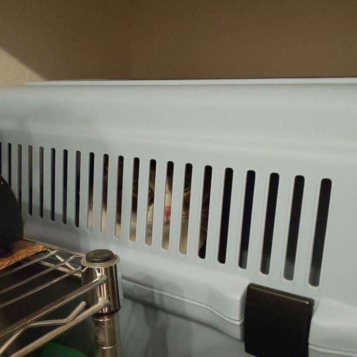 F21387f9 768d 4cd2 bbc3 4ca60b5455b2 1650073263083