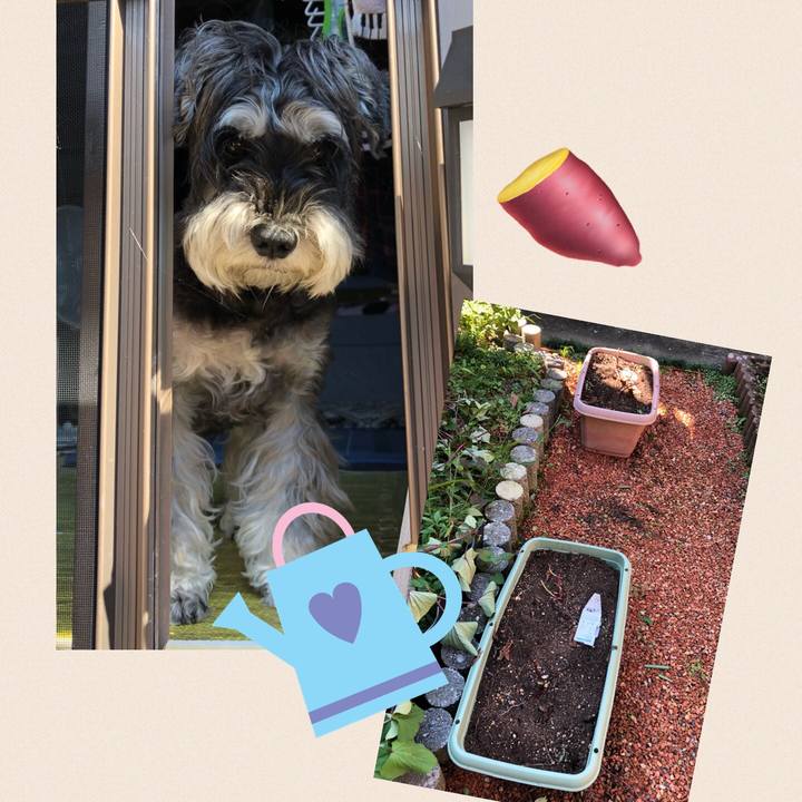 F213e1d3 6261 4fd1 bb55 58b829114eaa 1664594342892