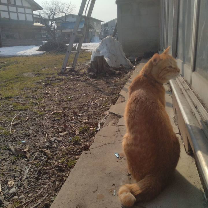 F213fac5 00a6 47dc bc28 90392daab706 1678175007780