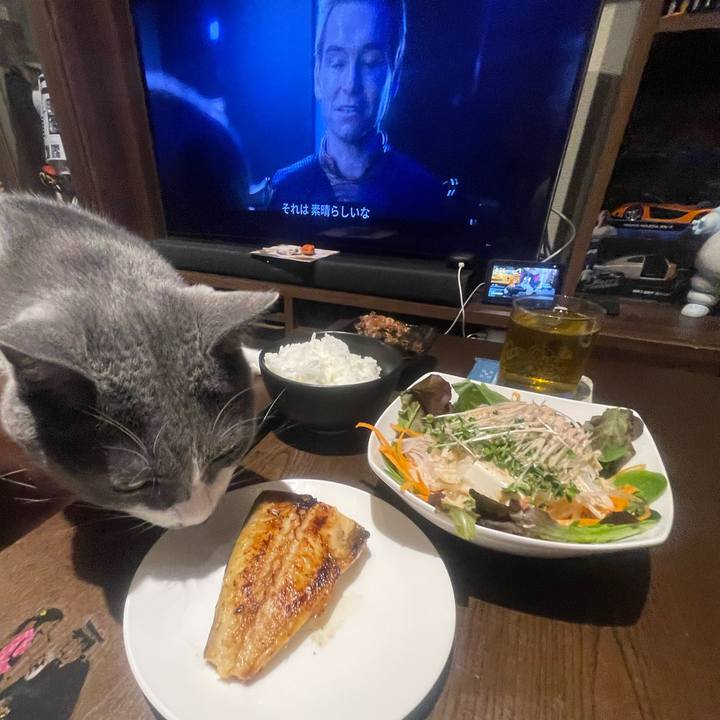 F2144069 6769 4a4d 81c4 b737a8a7088e 1719574112709