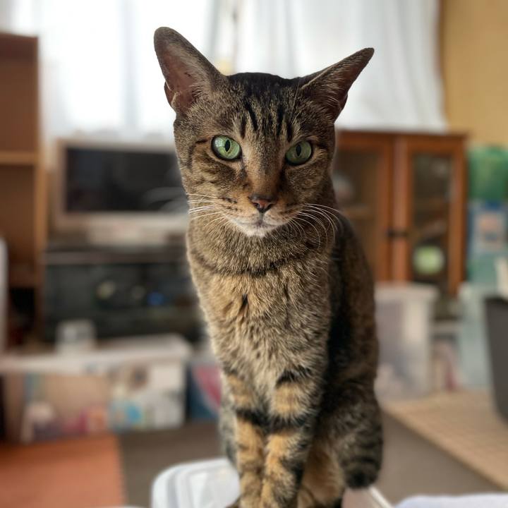 F2147ef5 81f9 4d59 a4e1 79642415bf33 1621476059085