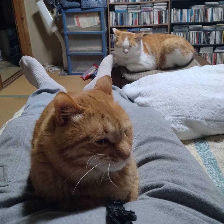 F214b02b c9d4 4ad8 8fa0 70e0196e66d6 1748689593572