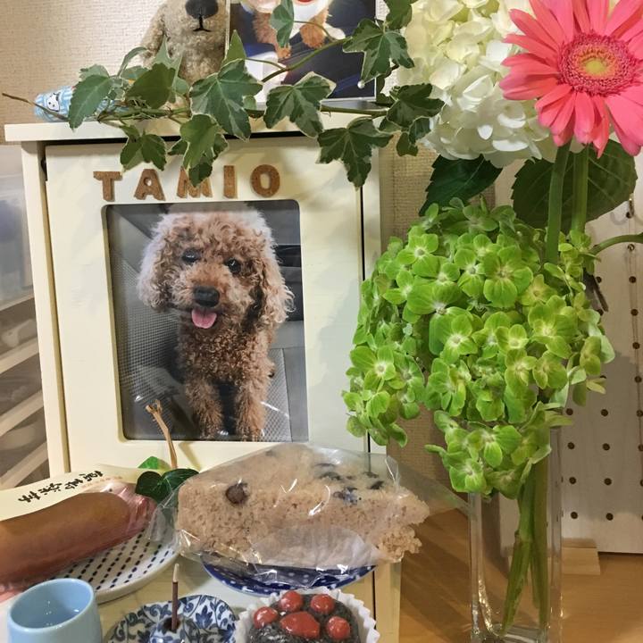 F214b176 4504 427b bf6c 0a030fa9f980 1601647986379