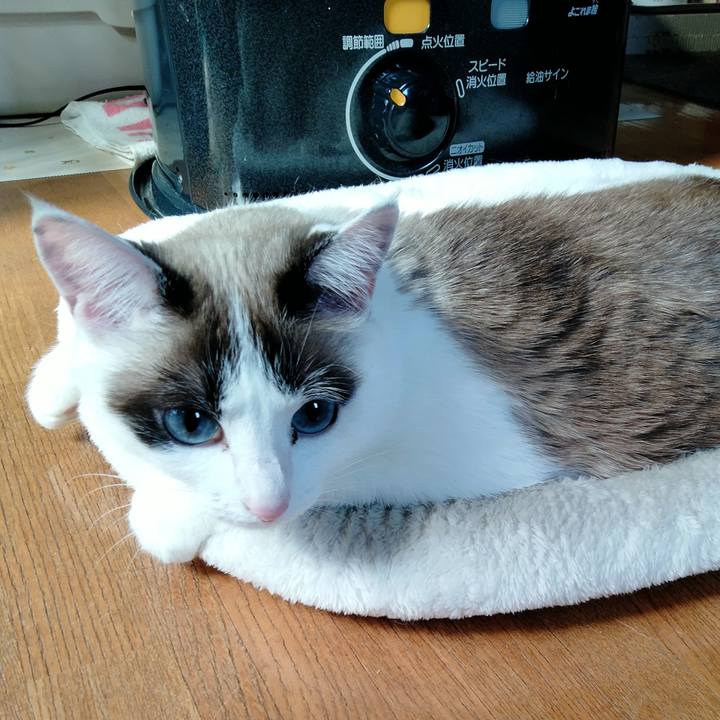 F214beab 5e25 4d0b bb7e 4cf84acc0e46 1647054283607