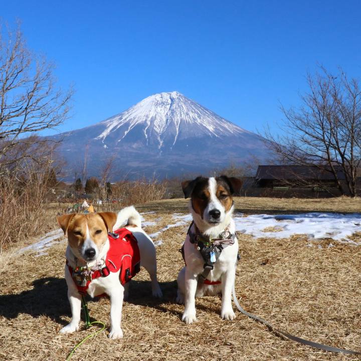 F214e674 a309 4cc1 be0c 3918754eb2fb 1549167185811