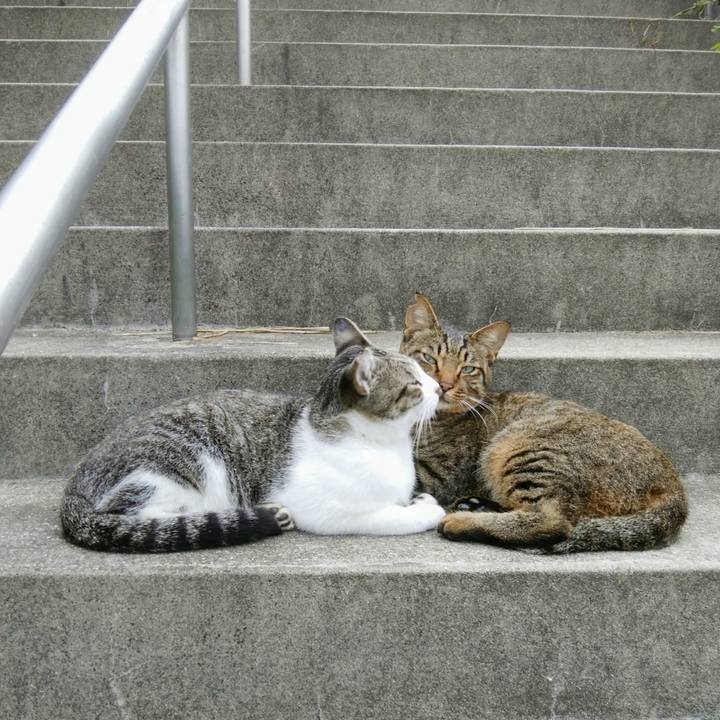 F214f821 804f 4475 a5ae e04700a0ecb6 1536914289814