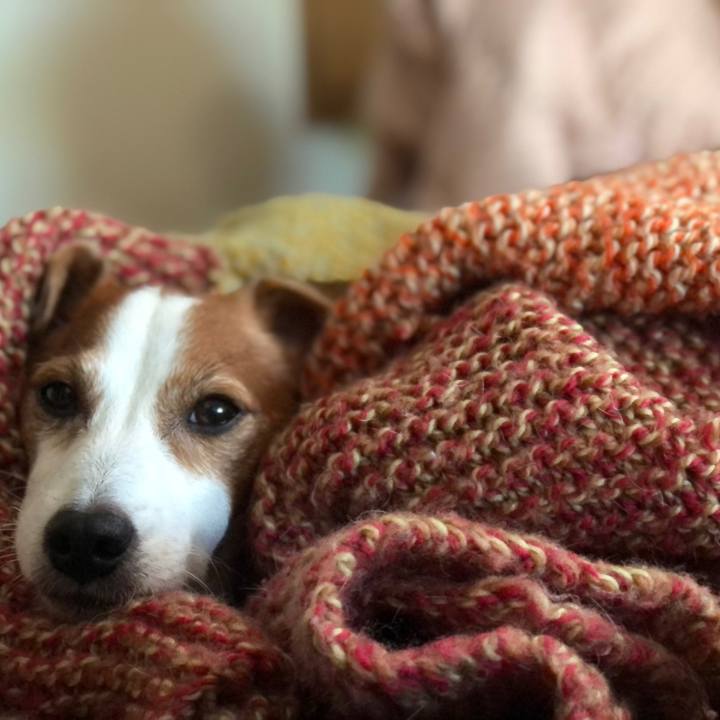 F21508b2 6772 4fd7 adc2 faa5e6f25b6a 1731982787904