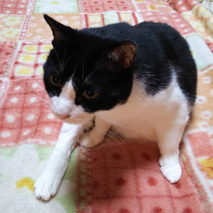 F21522e6 58c5 49fb b30a 8f6f4d02d83c 1557438591152