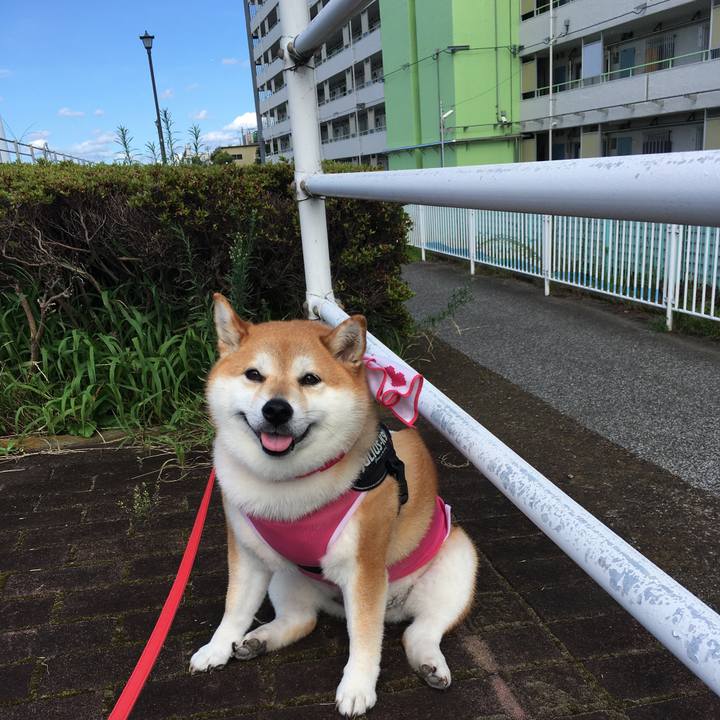 F2152a53 0260 4fe3 b6e2 f8ee3e8f3c66 1596268368931