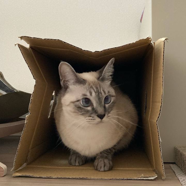 F2152d8a 4d9b 427d a927 eae9830cb835 1603757961246