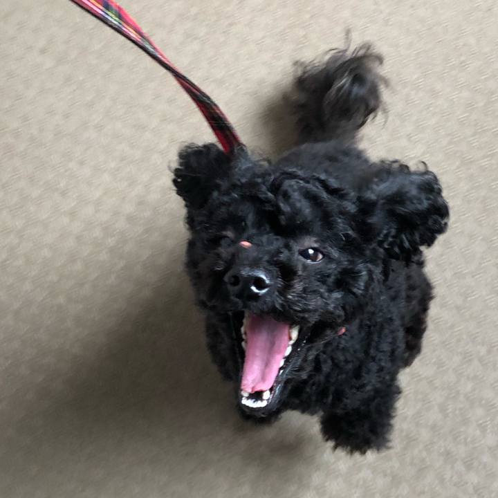 F2158e52 e90d 488f 874b 54bf01e7262b 1554189984586