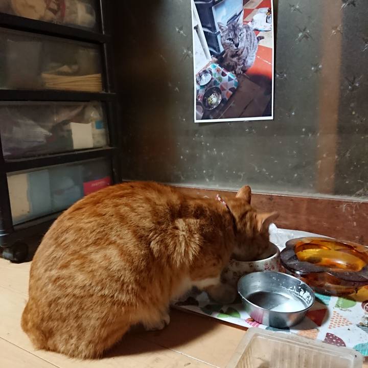 F2159209 3cfd 4adc 89bb b0c717784750 1602329235490