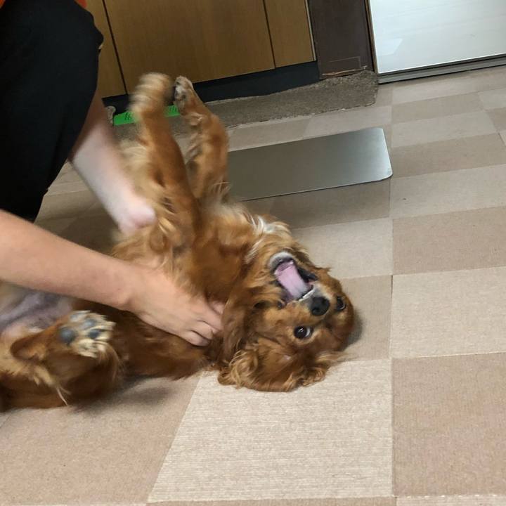 F2159eda 094d 45c5 89b4 c624868f5546 1636496539630