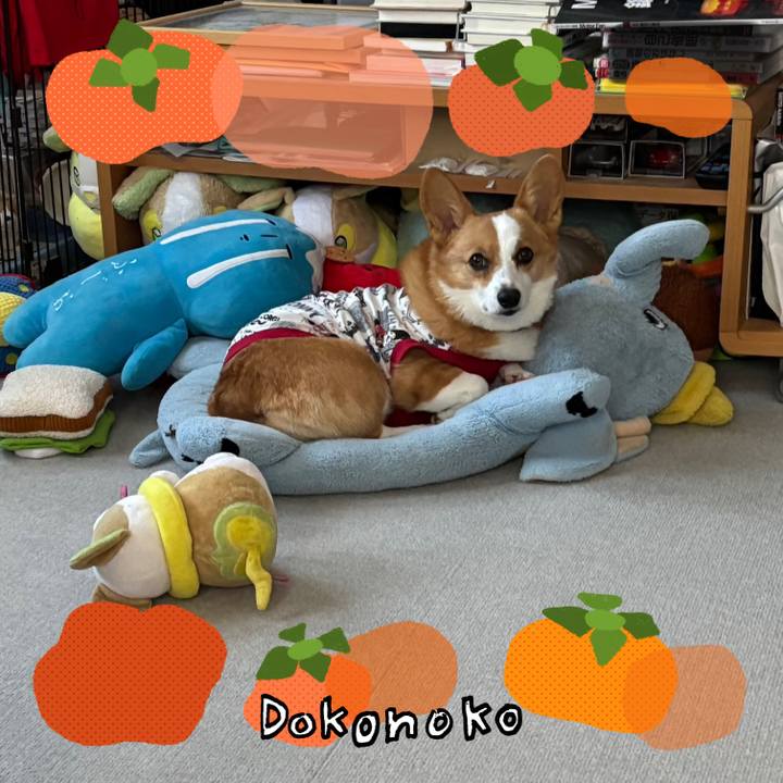 F2164184 b968 4461 b9e8 f0b4c905fca3 1761260277055