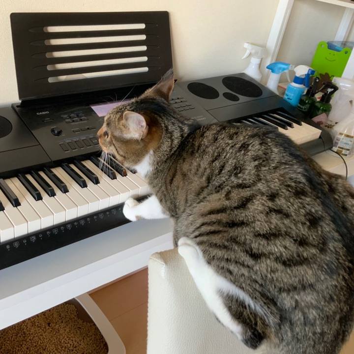 F21655b4 5dd4 44c6 9db6 8c217dd6792a 1641133928261