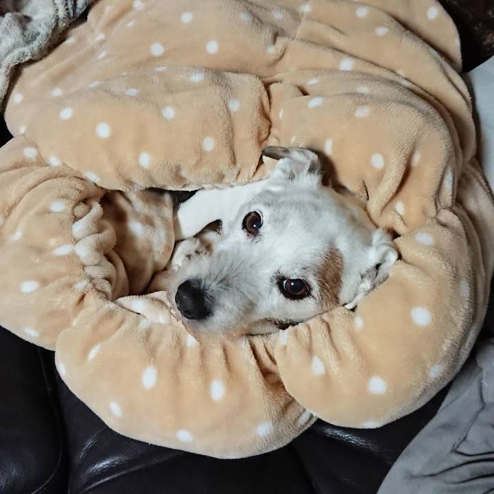 F2165ae4 d32c 47af 8157 ef5e0a583004 1579130428036