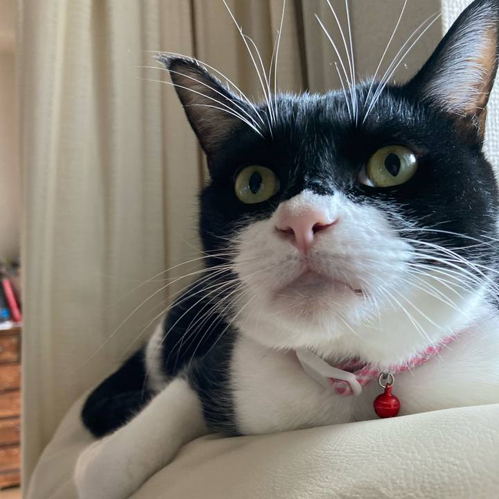 F2167402 d68c 4c4e af14 a47576be4b1e 1673939412557