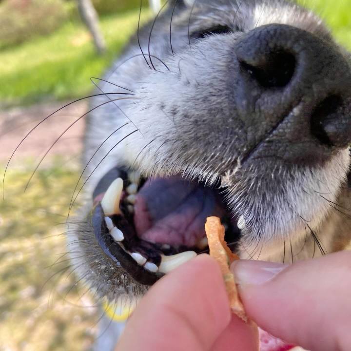 F21676ee 8225 4cdd 81ec a6dfe78cada9 1713679286825