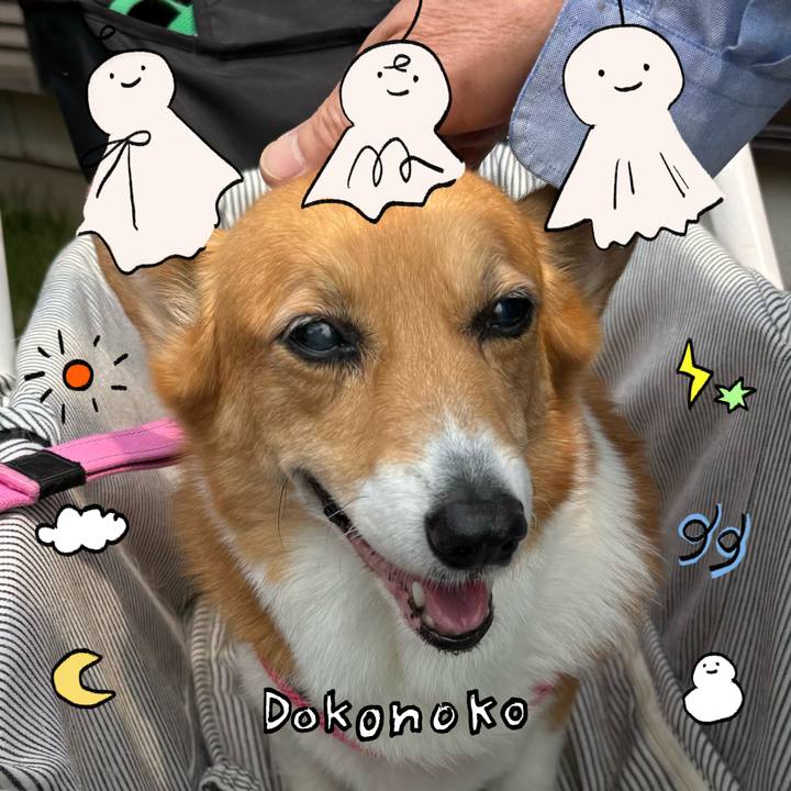 F2169e6c e6e6 4249 84c3 8311b22ed3e4 1749346002843