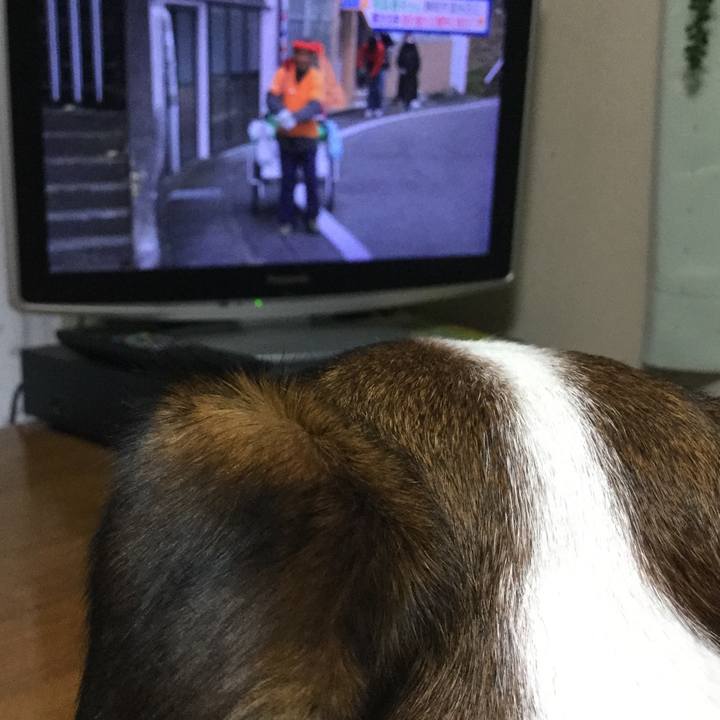 F216b938 c728 4a8d ac14 e104db17d276 1549871548251