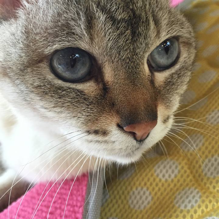 F216fa09 220b 4523 86ab e8689a9fe190 1527236484315