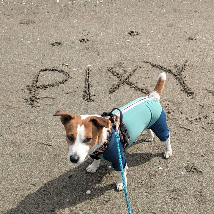 F216fb26 0209 4700 93df 88e03f0798ad 1771889522348