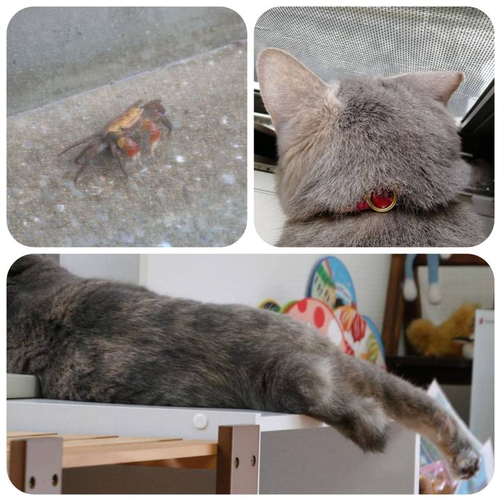 F216fe13 409b 4342 9d79 3fdb1e7ab4e4 1529456014569