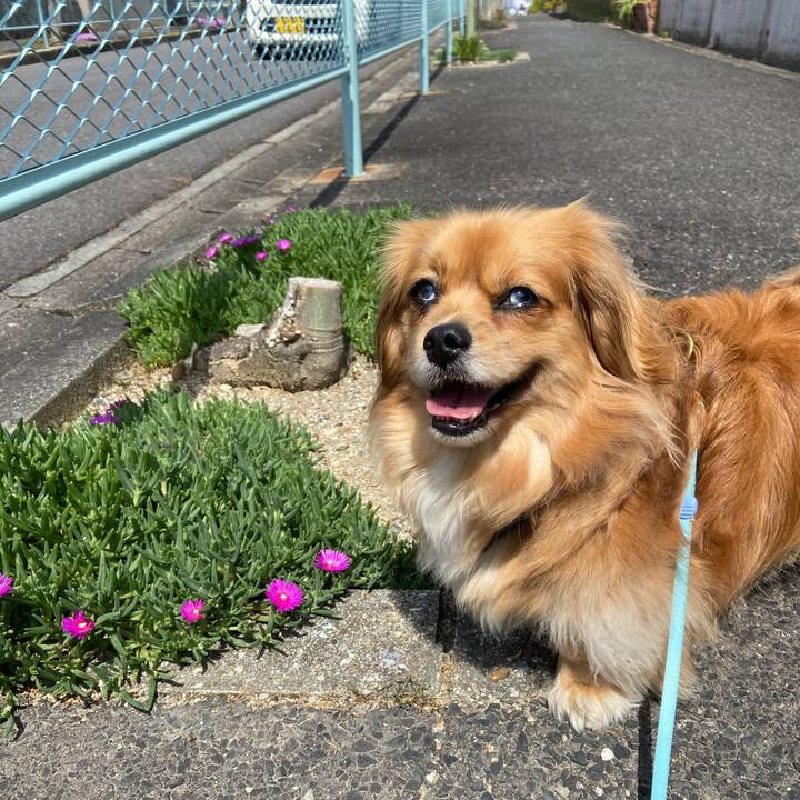 F21728af aa32 40c5 887b d5fede188e87 1588649198069