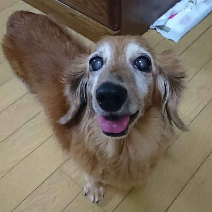 F2174eaf 2902 47e2 9159 85616c97b211 1507790256655