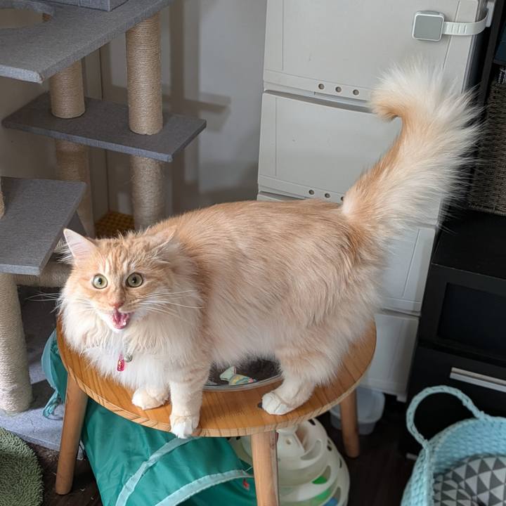 F2176351 ecf9 4ec7 a1cd 2164e739456e 1747992624717