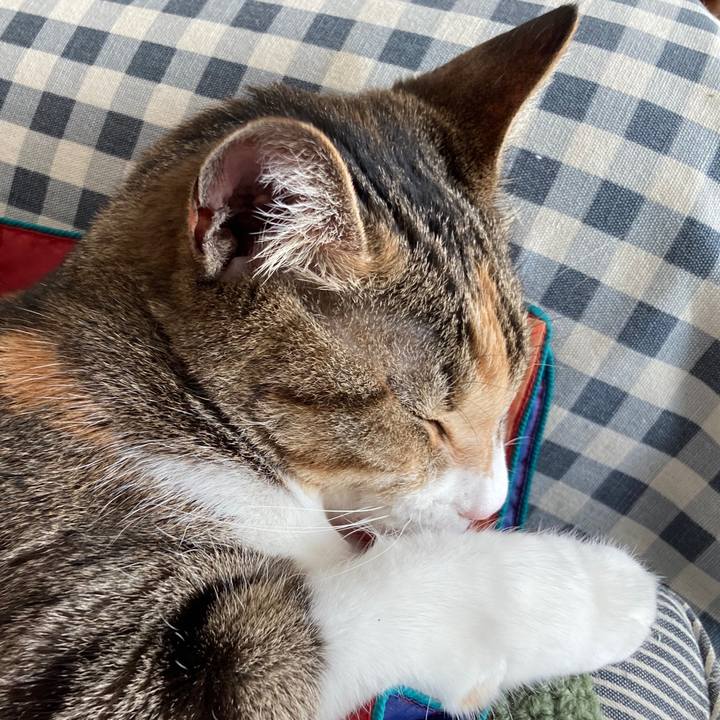 F21767b8 c7ad 4aa3 b882 97be013edb1a 1769295078316