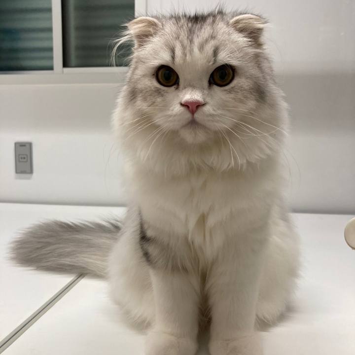 F217a4fc c5a0 478e 91c4 892f3fb84efe 1603020872436