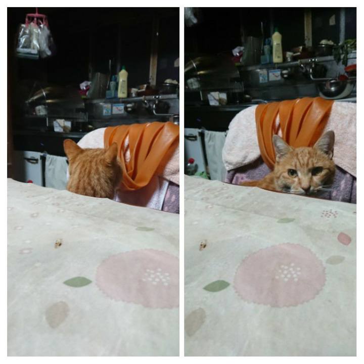 F217ab43 14b9 45a6 aafa b97c37df5c17 1605645242297