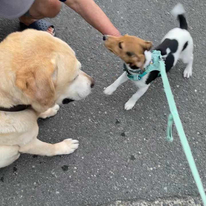 F217ac6e a806 46d5 92f7 5f9b3b41a1b3 1748642318983