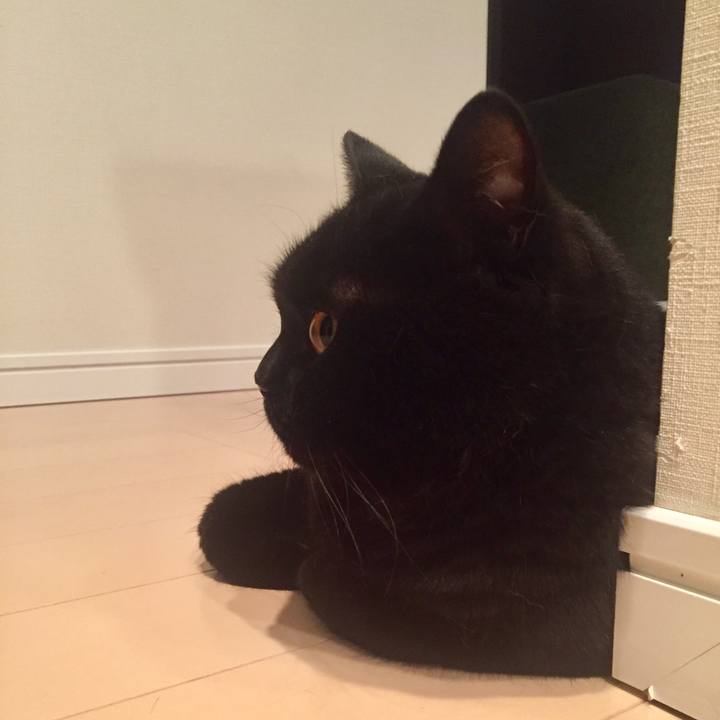 F217c2dd 1f0a 4fc0 a208 fd7686588161 1562758730488