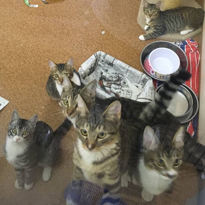 F217dd5c a65b 4d55 98bf 6e58aadf7f77 1568347088234