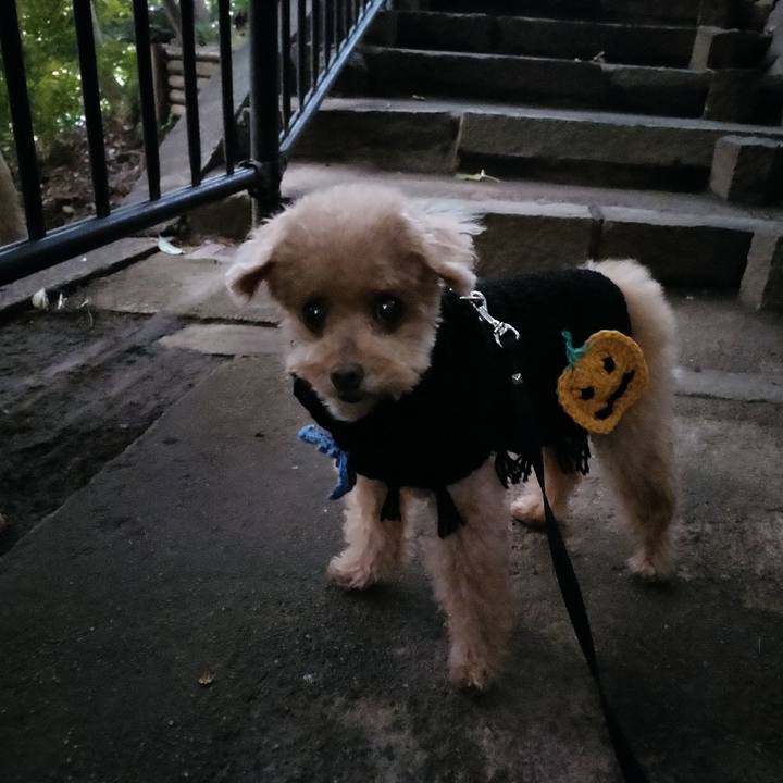 F217f52f 43b9 4925 83e6 232fc5f5a0a3 1634478082080