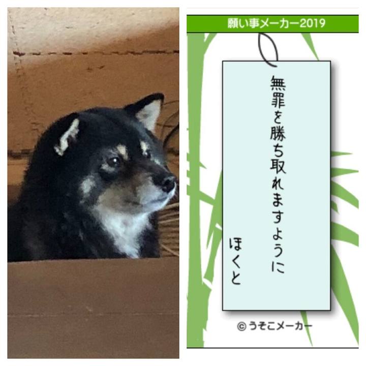 F217f816 ef9b 4fc1 ab37 1edf8120be1d 1562656594004