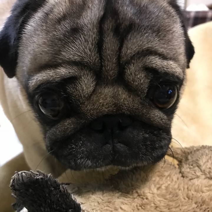 F218142f 722f 40c0 a6e0 5a7683d785bf 1523274522848