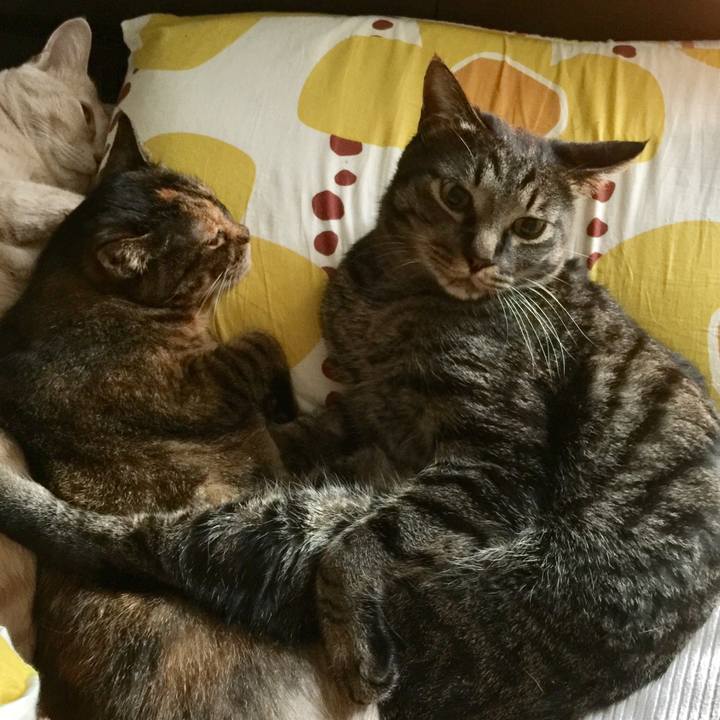 F21814be 9939 49a4 bae9 63877fc58998 1566465372018