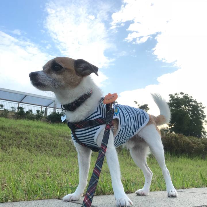 F21814c5 072b 4844 bdfe 9894b9b6d5f2 1531260023638