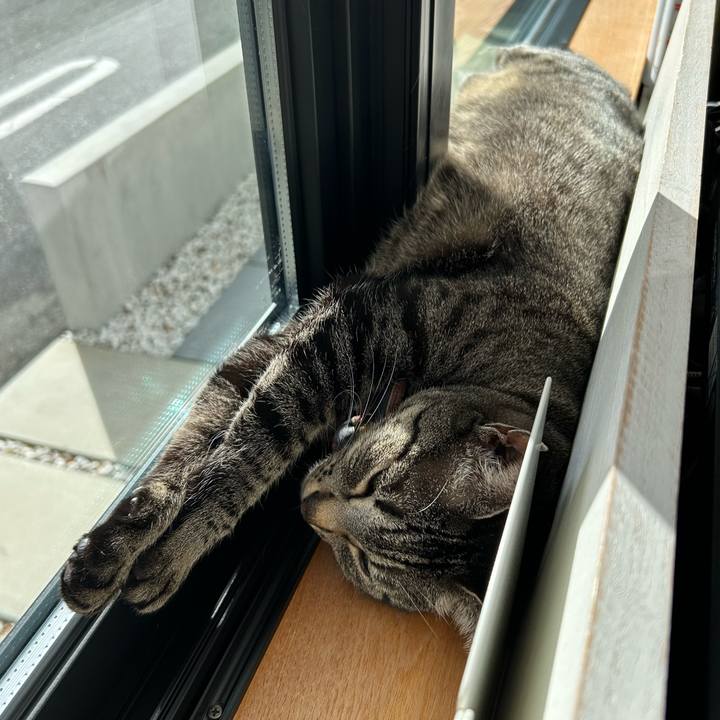 F2182b5a adc0 47bd a96d b2e980dc541f 1739437926195